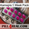 Kamagra 1 Week Pack 09